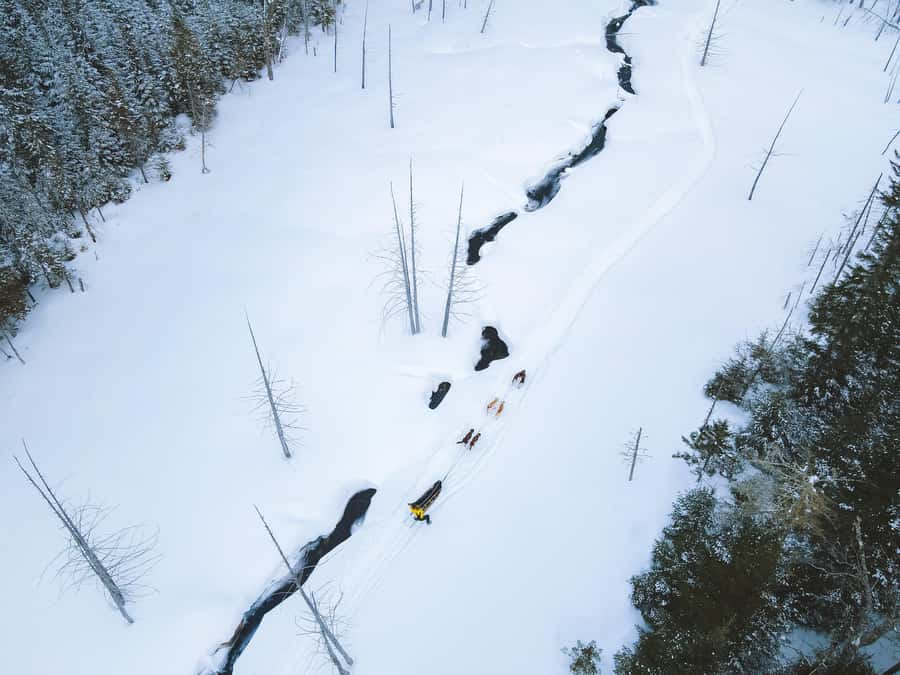 Dogsledding Upper Laurentians near Mont-Tremblant - What to wear and what to pack