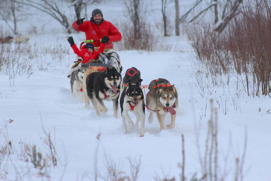 Dogsledding Valley Adventure near Mont-Tremblant - Key Details Before You Book