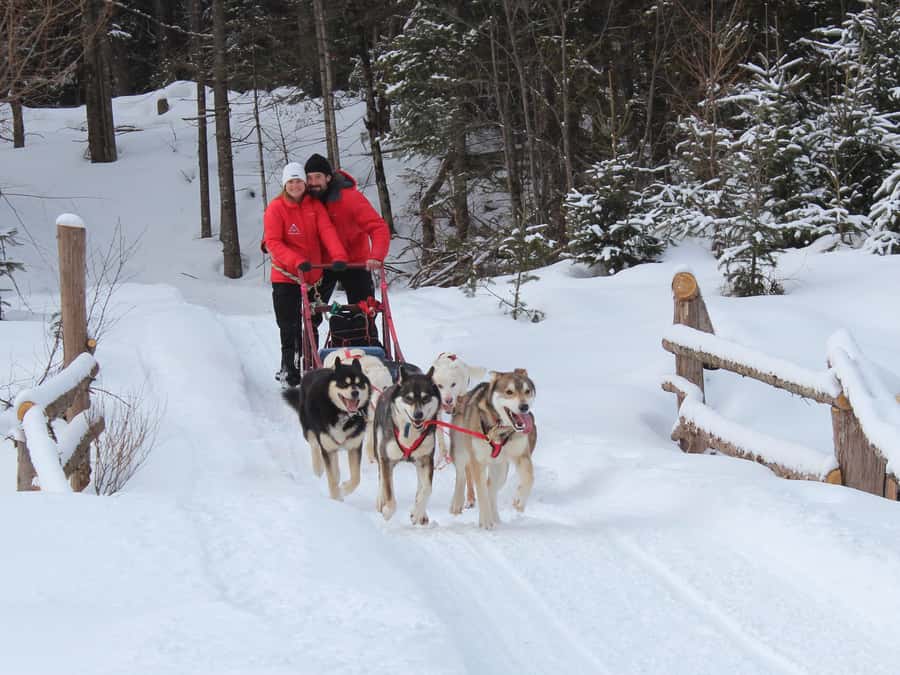 Dogsledding Valley Adventure near Mont-Tremblant - Meeting the Husky Pack Before the Ride