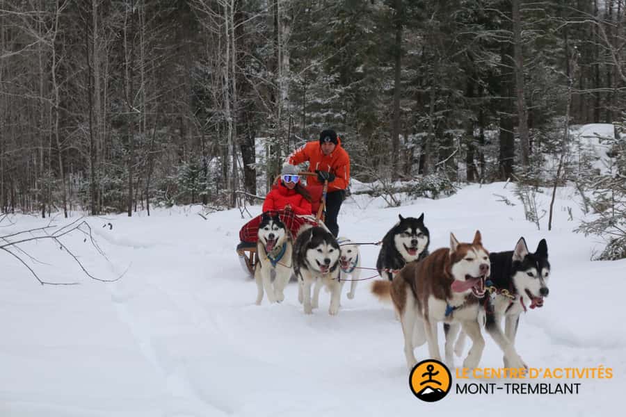 Dogsledding Valley Adventure near Mont-Tremblant - A Fire, Hot Chocolate, and Homemade Desserts
