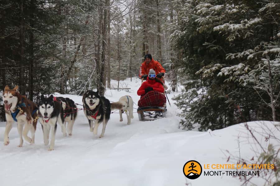 Dogsledding Valley Adventure near Mont-Tremblant - What the $193 Price Buys You