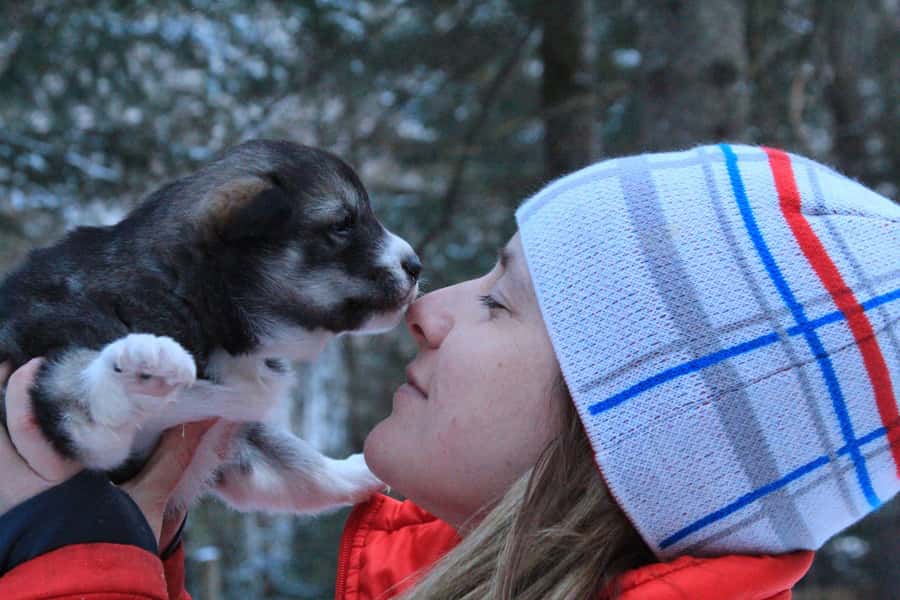 Dogsledding Valley Adventure near Mont-Tremblant - Who Will Enjoy This Most