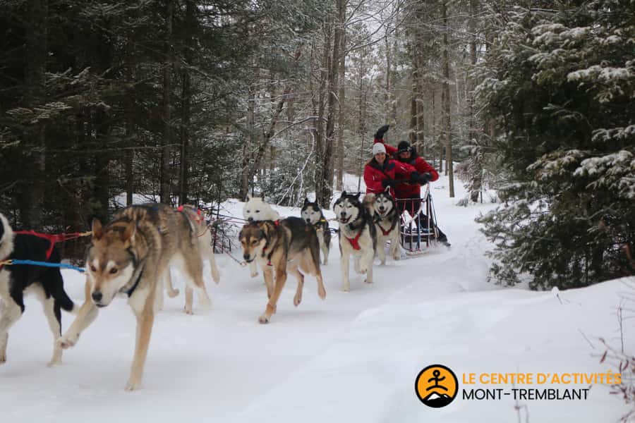 Dogsledding Valley Adventure near Mont-Tremblant - Useful Tips for a Smoother Visit