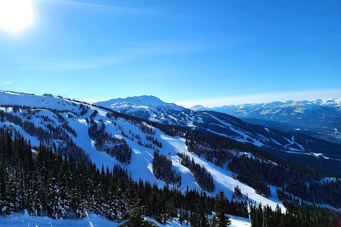 Downtown Vancouver to Whistler Private Transfer - Who should book it
