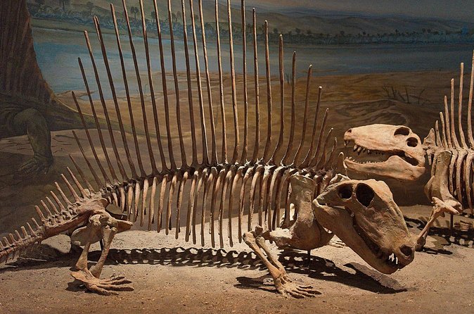 Drumheller and Badlands Full-Day Tour with a Small Group - What the $218.99 price really covers