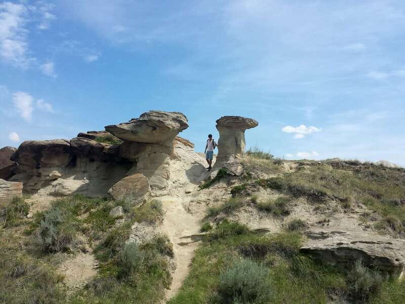 Drumheller: Bad Land & Dinosaur Museum Tour from Calgary - What the guide adds, and where the day could improve