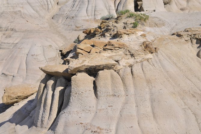 Drumheller Dinosaur Valley & Horseshoe Canyon Adventure Day Tour - From Calgary to the Alberta badlands