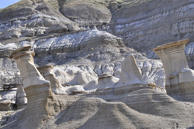 Drumheller Dinosaur Valley & Horseshoe Canyon Adventure Day Tour - What CAD $111.64 really buys you