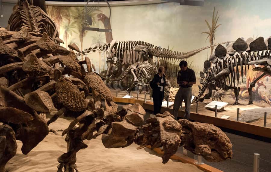 Drumheller: Dinosaurs, Canyons, & Hoodoos Day Tour - CrossIron Mills: useful shopping, debatable use of time