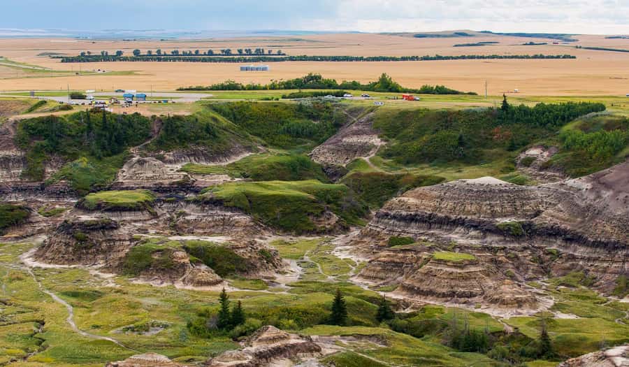 Drumheller: Dinosaurs, Canyons, & Hoodoos Day Tour - What the $119 price really covers