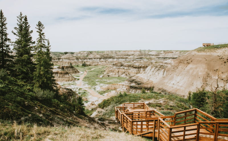 Drumheller: Dinosaurs, Canyons, & Hoodoos Day Tour - Transport, guides, and the pace of the day