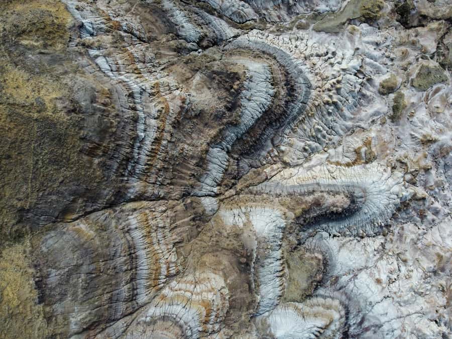 Drumheller: Dinosaurs, Canyons, & Hoodoos Day Tour - Who should choose this Drumheller tour?