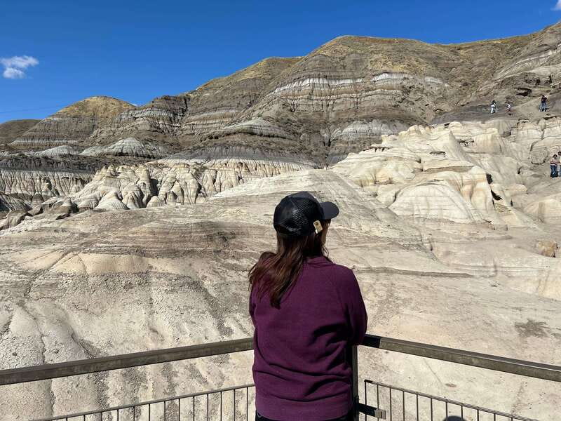 Drumheller Full-day Private Sightseeing Tour - Key points at a glance