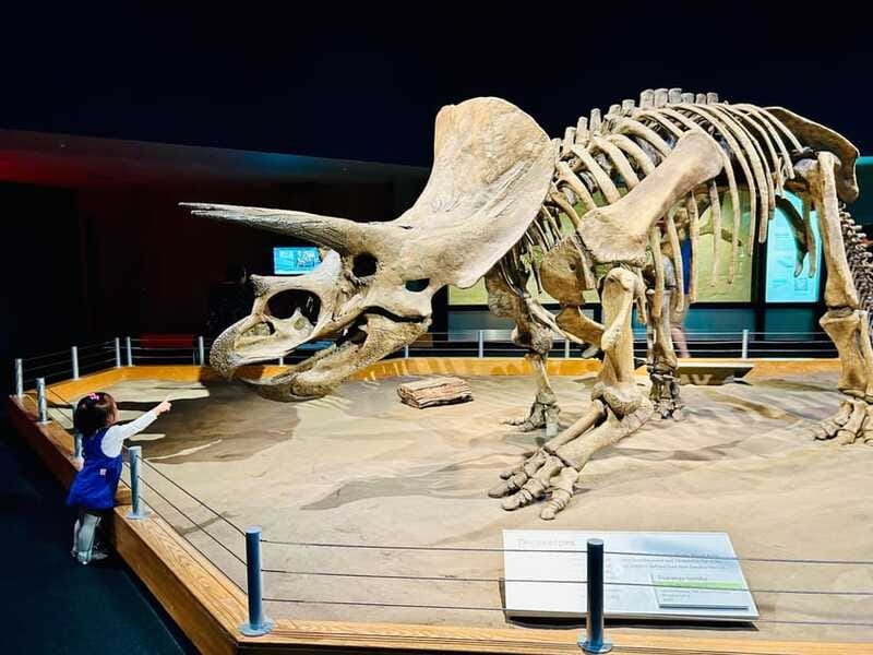 Drumheller Full-day Private Sightseeing Tour - Atlas Coal Mine and the area’s working past