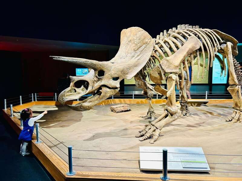 Drumheller Full-day Private Sightseeing Tour - The 90-minute ride from Calgary