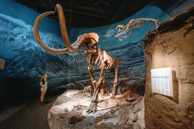 Drumheller: Royal Tyrrell Museum, Hoodoos and Horseshoe Canyon - Key points to know before you book