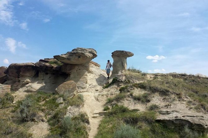 Drumheller: Royal Tyrrell Museum, Hoodoos and Horseshoe Canyon - How the price compares with the experience