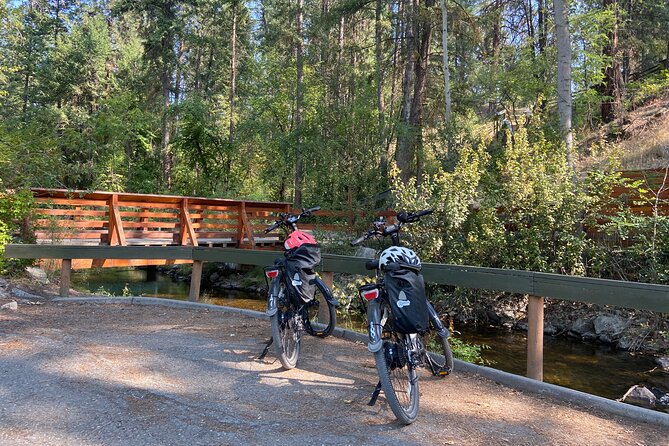 E-Bike Salmon Adventure - Key points to know before you book