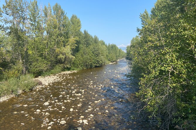 E-Bike Salmon Adventure - Why this Kelowna e-bike outing is worth considering