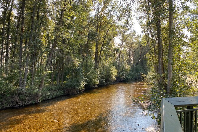 E-Bike Salmon Adventure - Starting at Lakeside Eco-Sports on Bernard Avenue