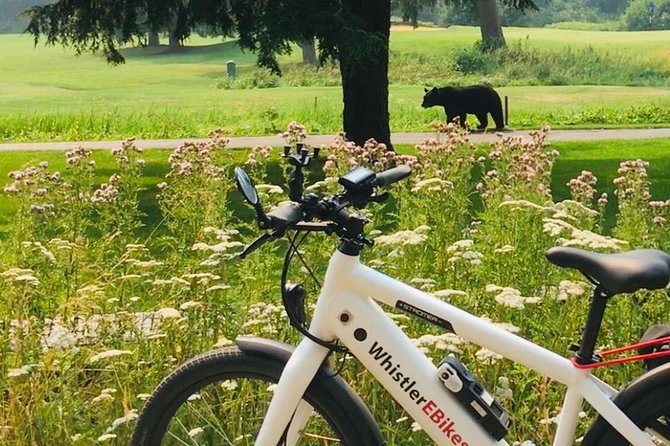 eBike Adventure in Whistler - Key points to know before you pedal