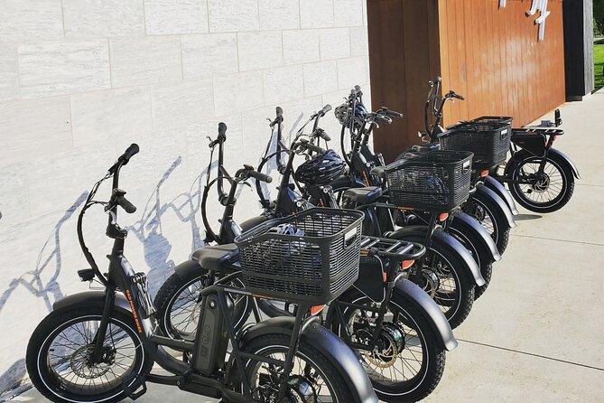eBike Rental Ride Electric in Niagara-on-the-Lake and Explore - Who will enjoy this most?