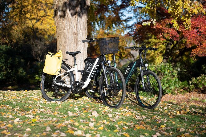 eBike Rentals in Kelowna - Mission Creek: A Strong Half-Day Route