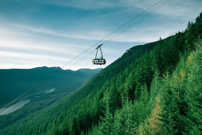 EcoEscape: Luxury & Exclusive Tour Experiences - How the timing really works