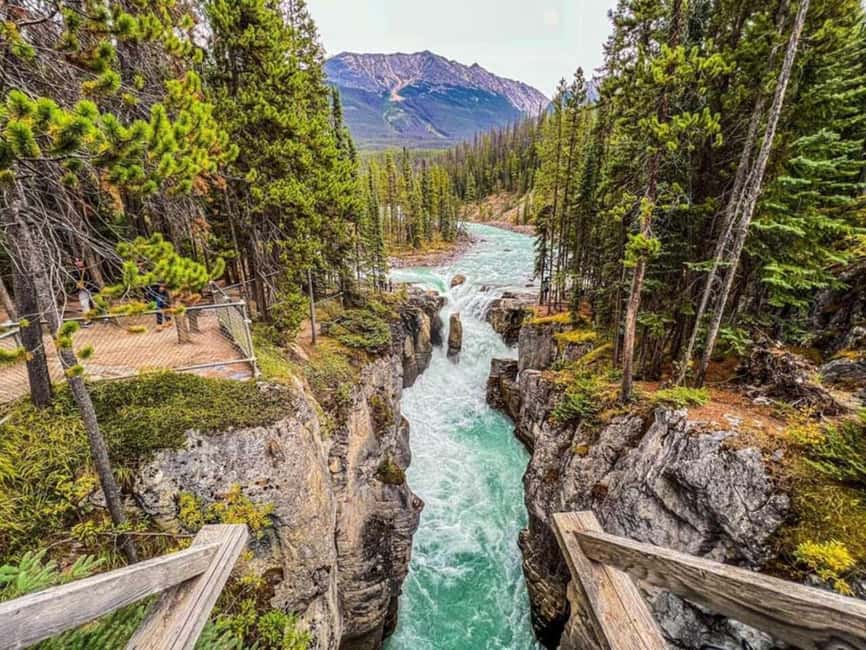 Emerald Lake, Lake Louise, Johnston Lake & Banff Gondola - Key details before you book