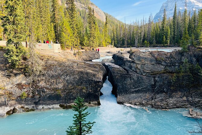 Emerald Lake,Natural Bridge, Wapta Falls & Takakkaw Falls in Yoho - Key points before you book