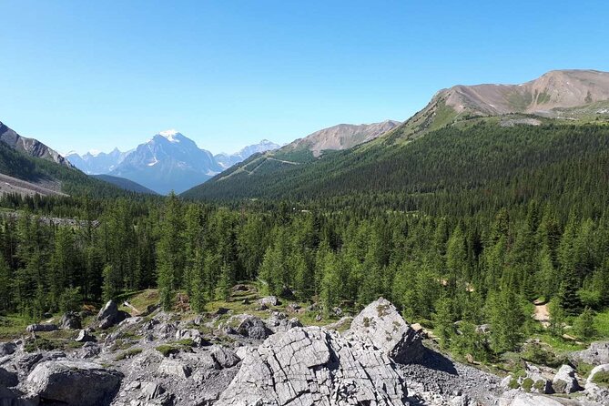 Exclusive Skoki Backcountry Guided Hiking in Lake Louise with Van Shuttle - Why Skoki feels different from the usual Lake Louise day