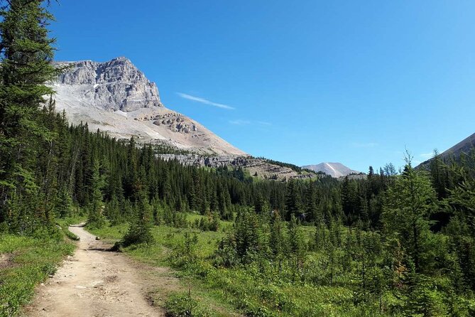 Exclusive Skoki Backcountry Guided Hiking in Lake Louise with Van Shuttle - Hiking through forests, flowers, and mountain passes