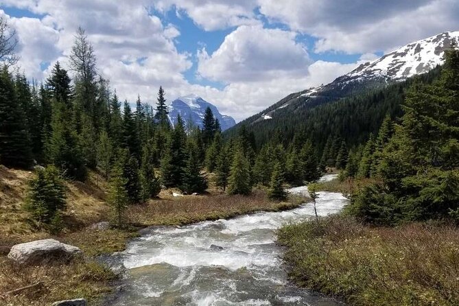 Exclusive Skoki Backcountry Guided Hiking in Lake Louise with Van Shuttle - Wildlife and small details along the trail