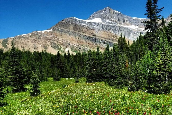 Exclusive Skoki Backcountry Guided Hiking in Lake Louise with Van Shuttle - Lunch beside the scenery