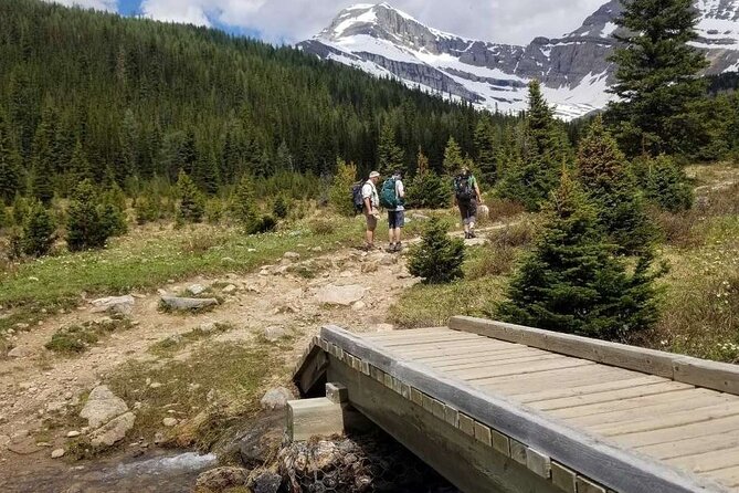 Exclusive Skoki Backcountry Guided Hiking in Lake Louise with Van Shuttle - Price, group size, and overall value