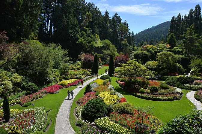 Experience Victoria and Butchart Gardens Premium Tour - The ride back includes Old Town and Chinatown