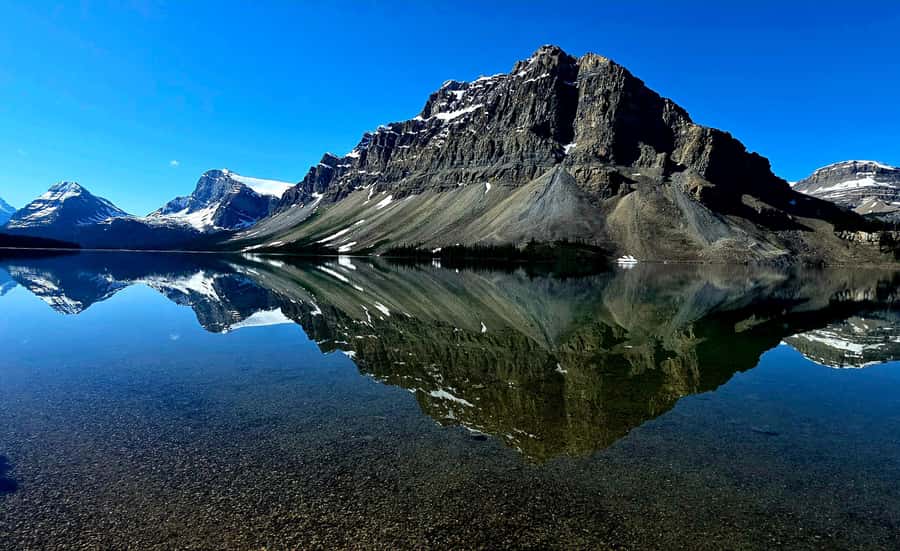 Explore 9 Iconic Banff Spots in 1 Epic Day!(Pax 12/Group) - Crowfoot Glacier, Bow Lake, and Peyto Lake
