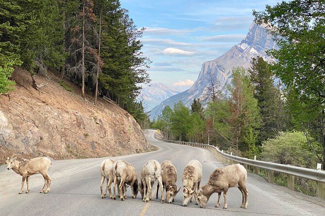 Explore Banff National Park with Our Premium Day Tour - Lake Louise gives the day its grand opening