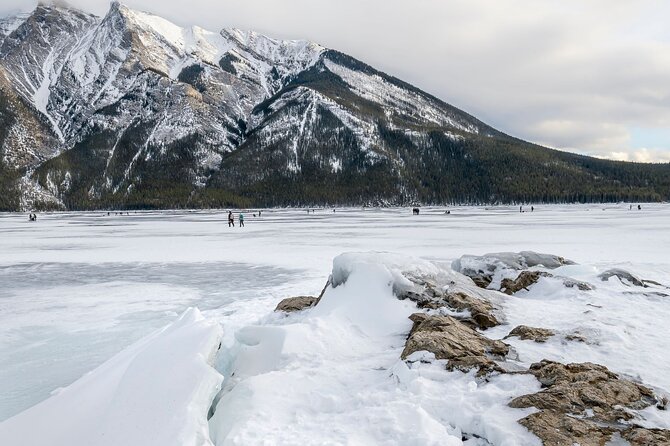 Explore Banff + Wildlife - Surprise Corner and Bow Falls: Banff’s quick introduction