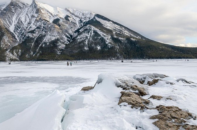 Explore Banff + Wildlife - The price, timing, and practical value