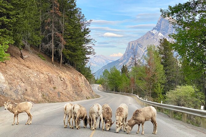 Explore Moraine Lake, Banff, Lake Louise & Minnewanka - One hour at Lake Louise