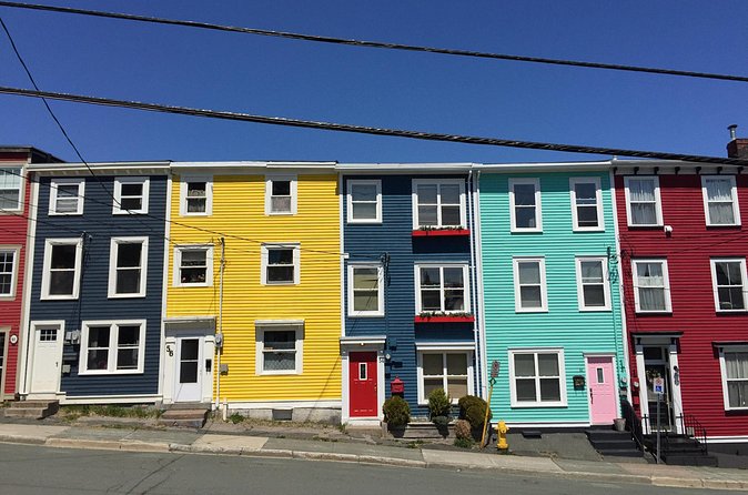 Explore St. John's Scenic Bus Tour to Cape Spear and Quidi Vidi - Small-group transport, timing, and comfort