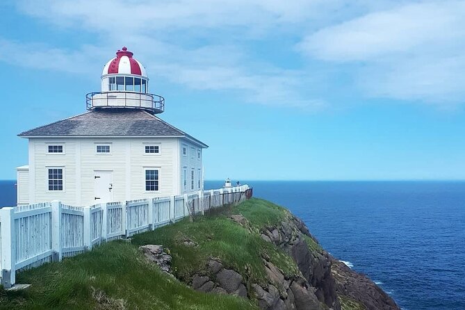 Explore St. John's Scenic Bus Tour to Cape Spear and Quidi Vidi - Petty Harbour and the feel of an outport village