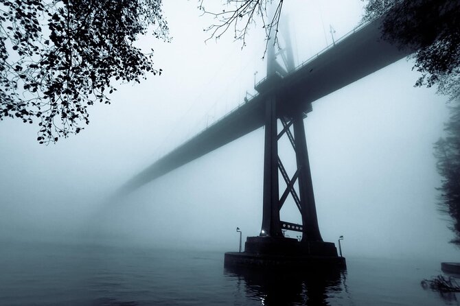 Explore Stanley Park on Electric Scooters - What the guide adds to the experience
