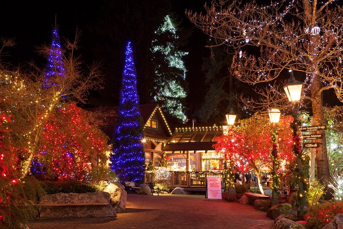 Explore Vancouver City & Capilano Suspension Bridge Canyon Lights - Why this five-hour route works well