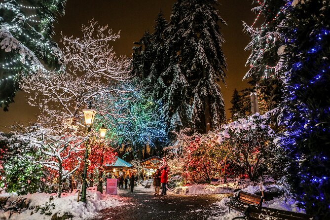 Explore Vancouver City & Capilano Suspension Bridge Canyon Lights - Across Lions Gate Bridge into North Vancouver