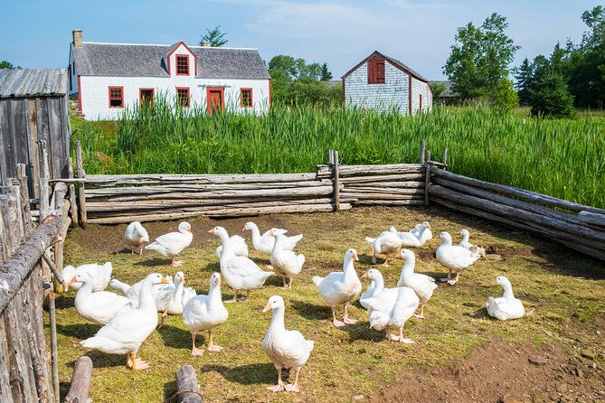 Family visit to the Acadian Historic Village - Why the broad time period helps families
