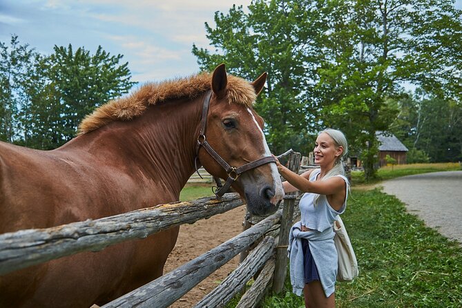 Family visit to the Acadian Historic Village - Planning around weather and opening hours