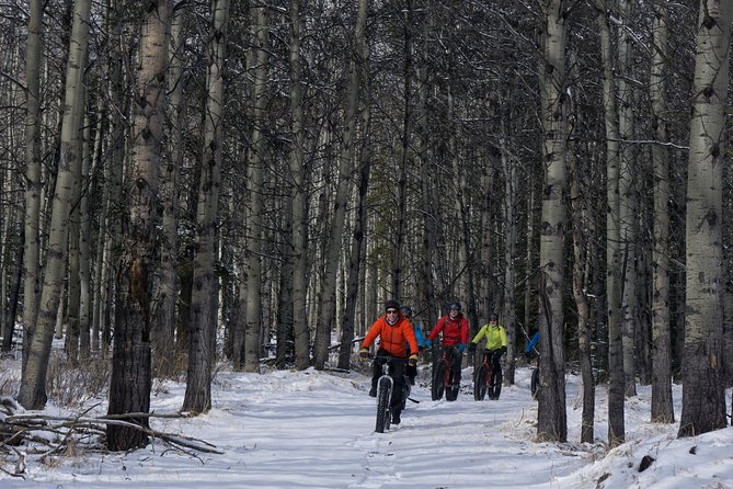 Fatbike Frozen Waterfall Tour - Starting at Kananaskis Outfitters at 9:30 a.m.
