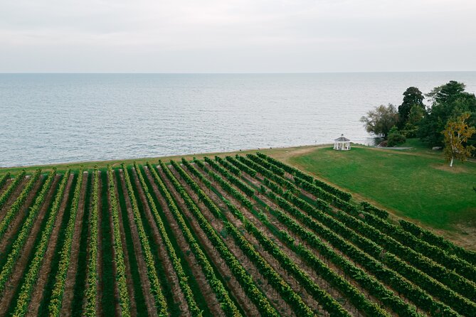 Fireside Flights Outdoor Tasting Experience - Arriving at Konzelmann Estate Winery on Lakeshore Road